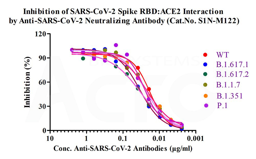  Spike RBD ELISA