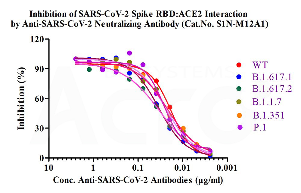  Spike RBD ELISA