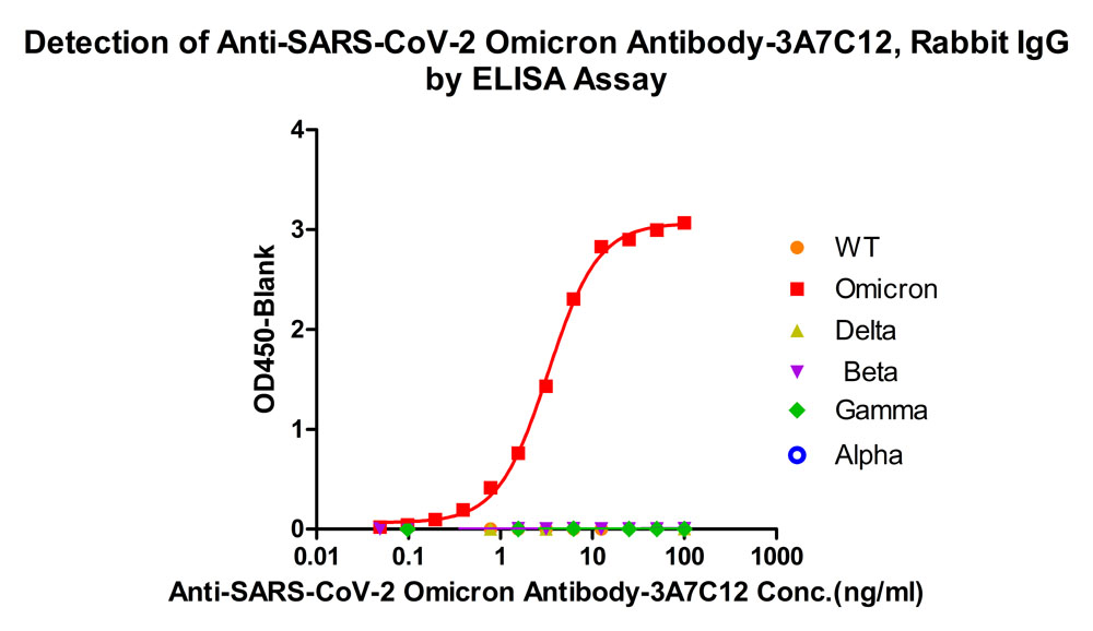  Spike RBD ELISA