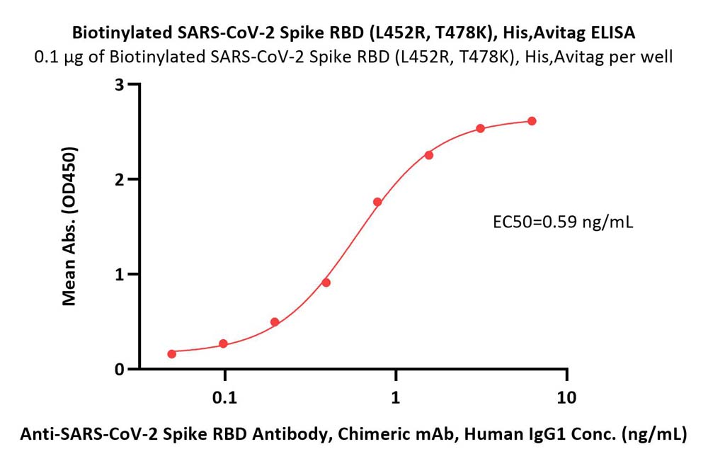  Spike RBD ELISA