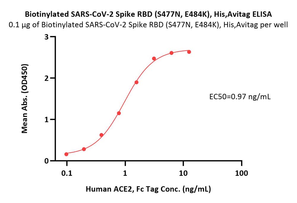  Spike RBD ELISA