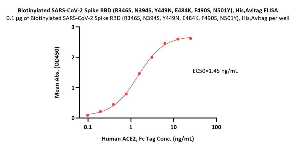  Spike RBD ELISA