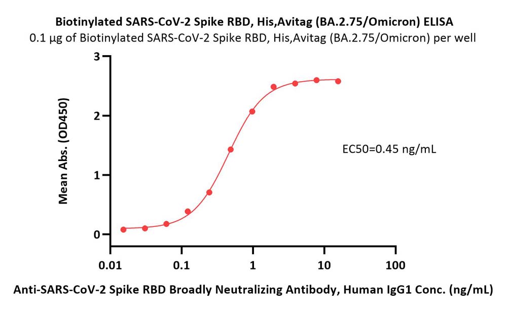  Spike RBD ELISA