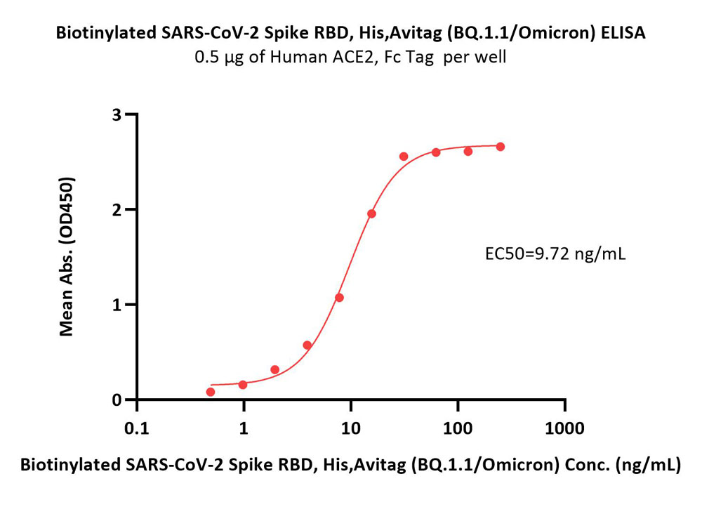  Spike RBD ELISA