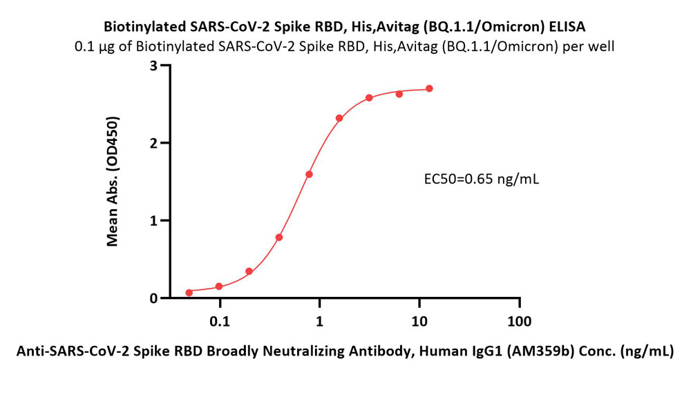  Spike RBD ELISA