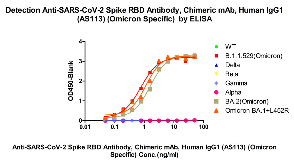  Spike RBD ELISA