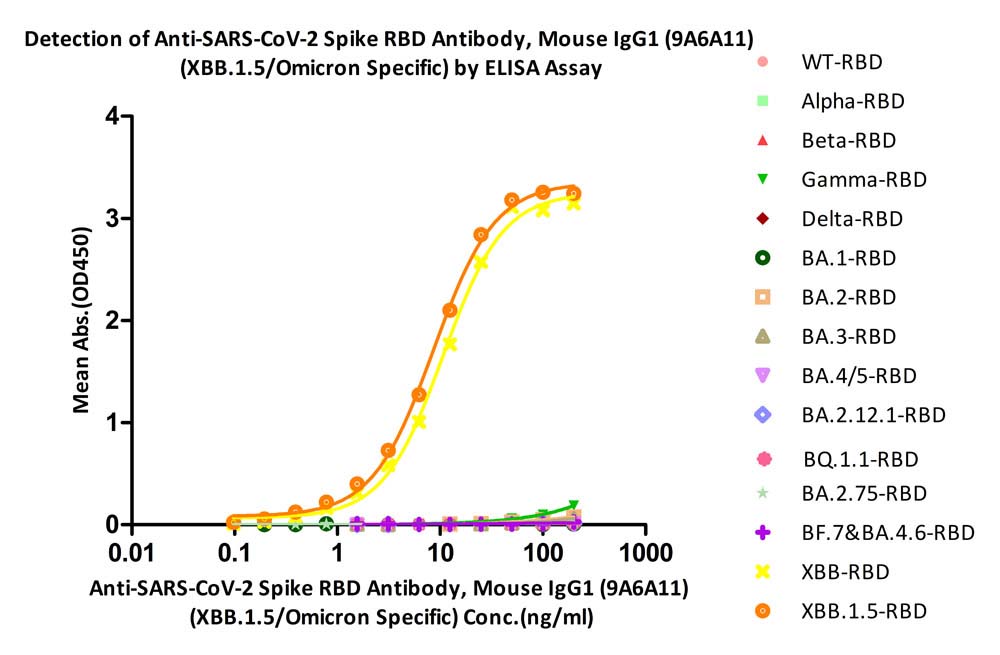  Spike RBD ELISA