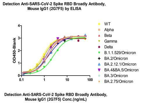  Spike RBD ELISA