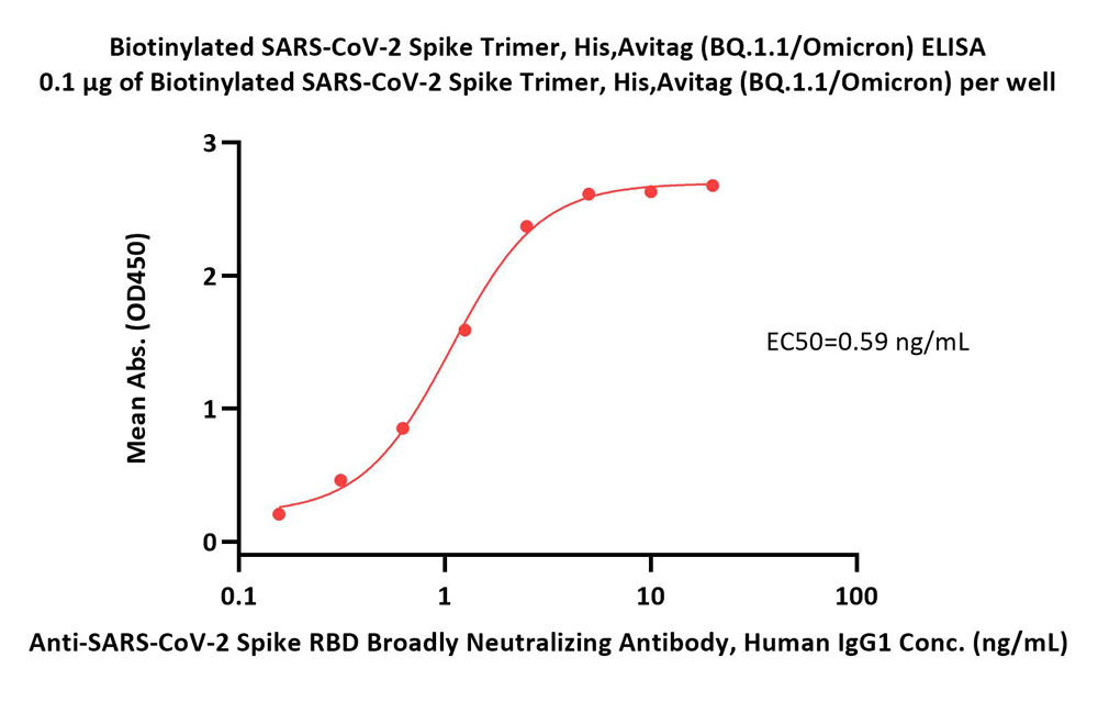  Spike protein ELISA