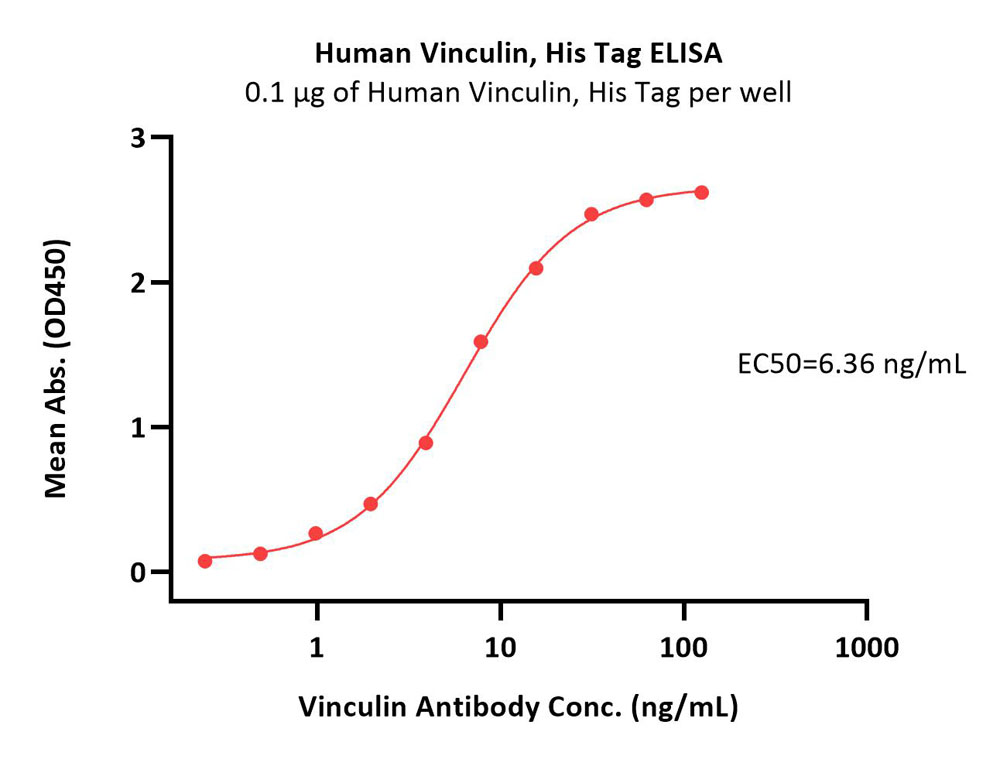  Vinculin ELISA