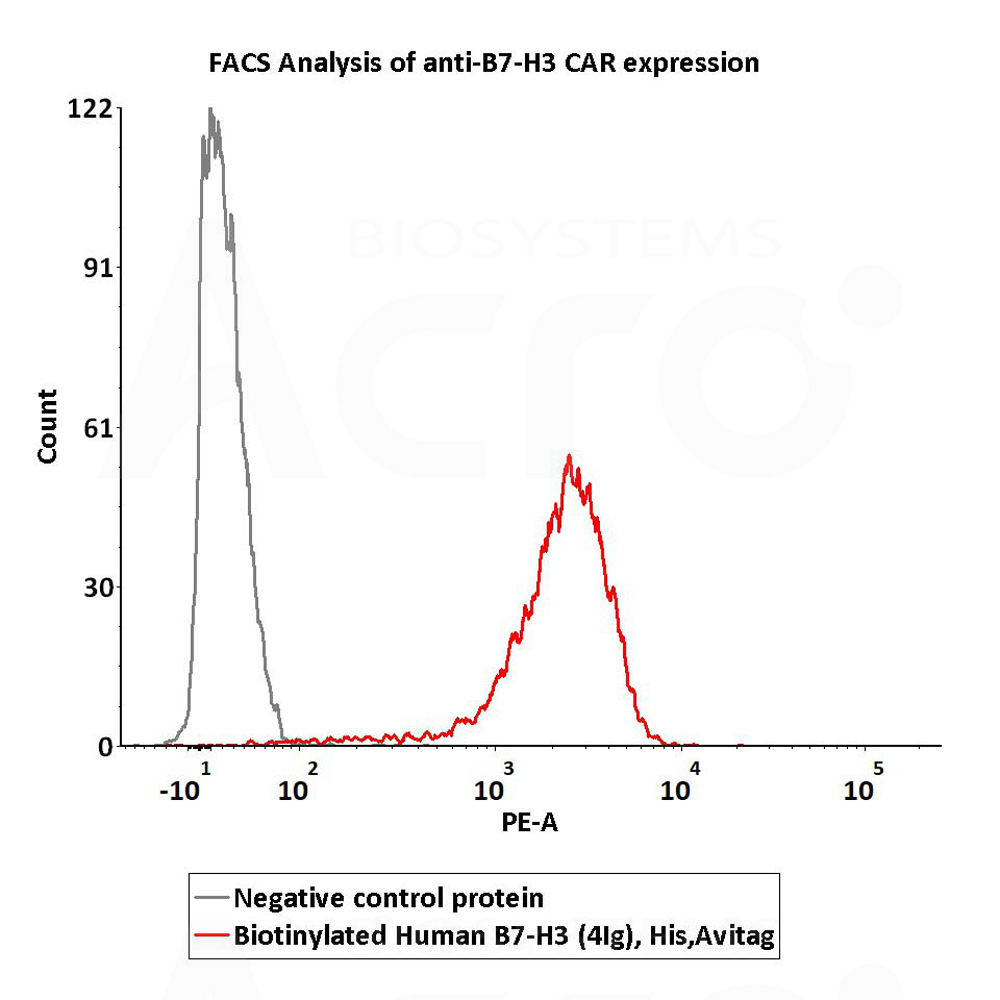  B7-H3 (4Ig) FACS