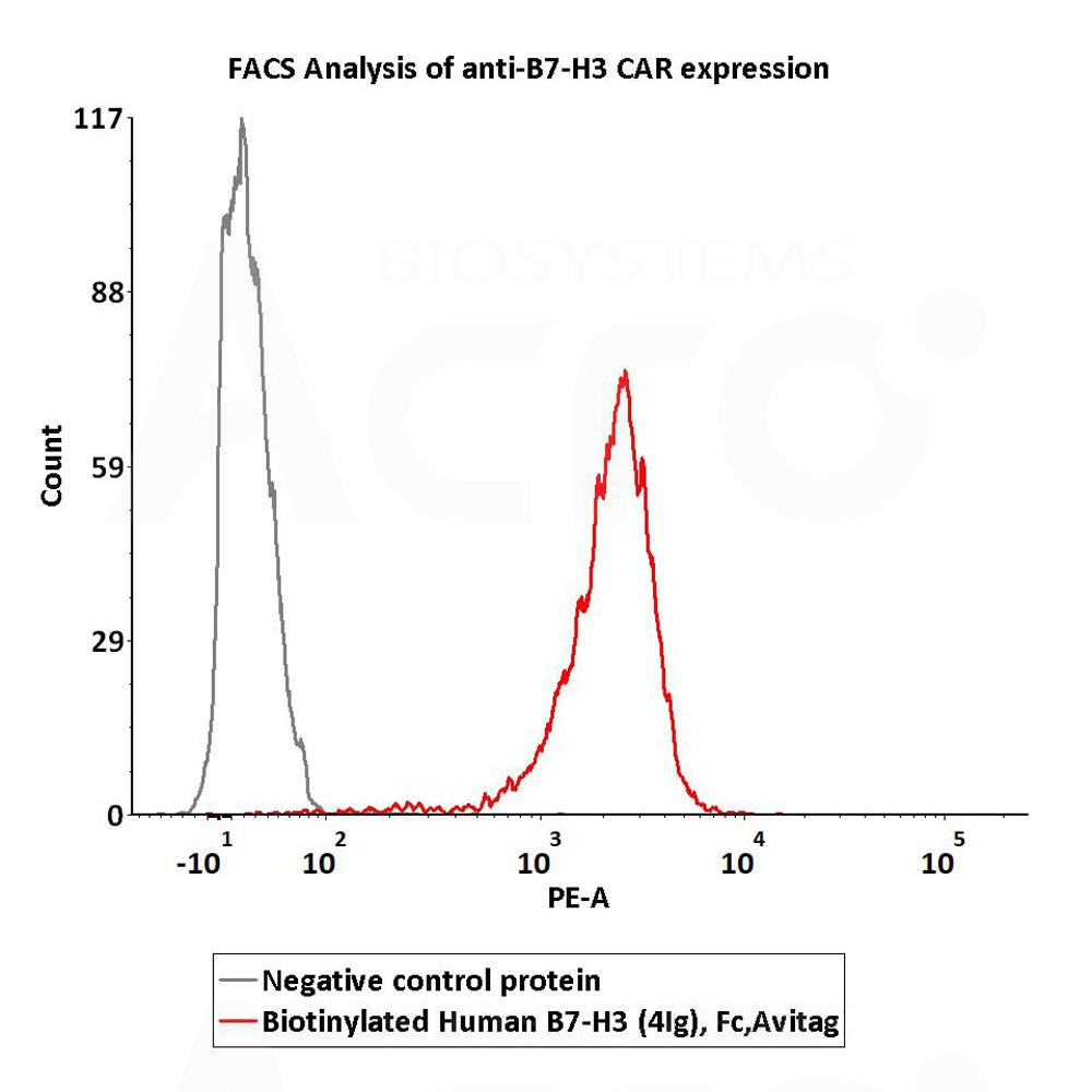  B7-H3 (4Ig) FACS