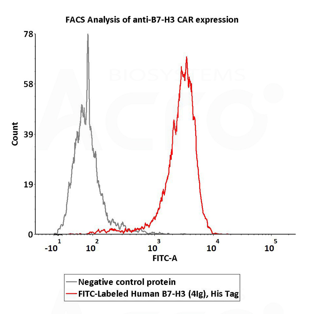  B7-H3 (4Ig) FACS