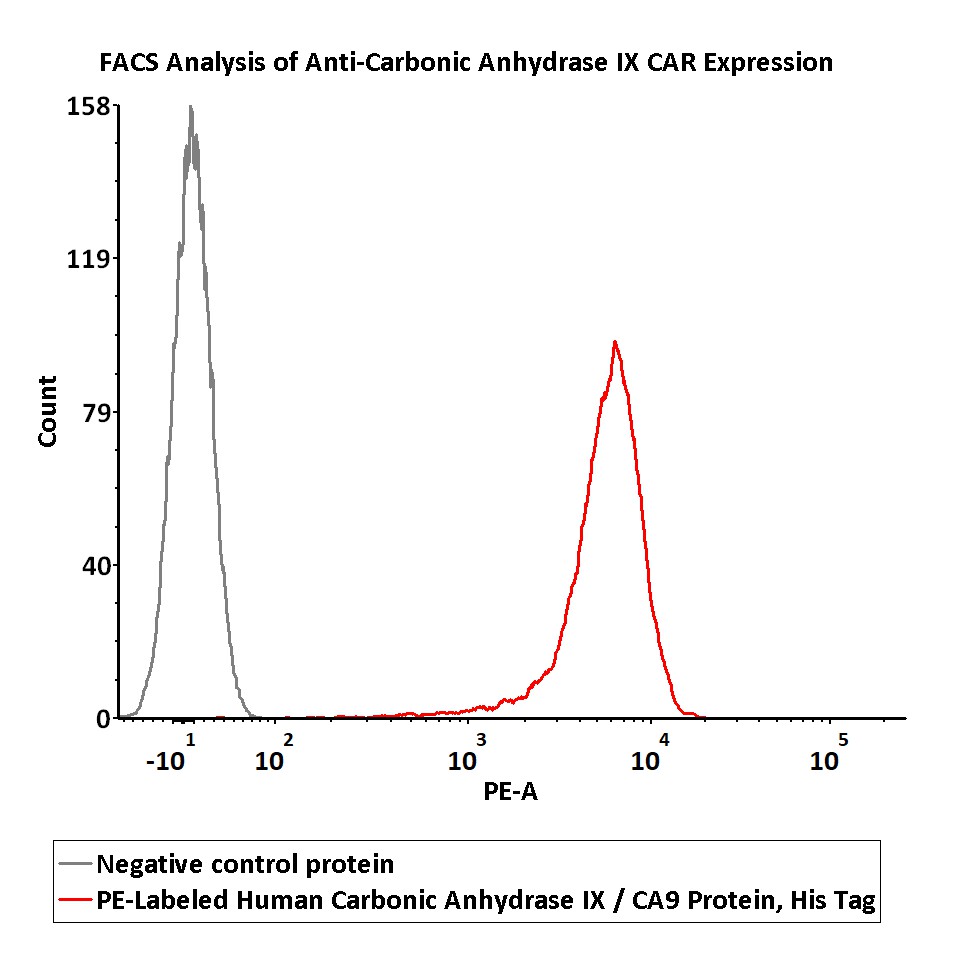 FACS assay shows that recombinant Biotinylated FACS