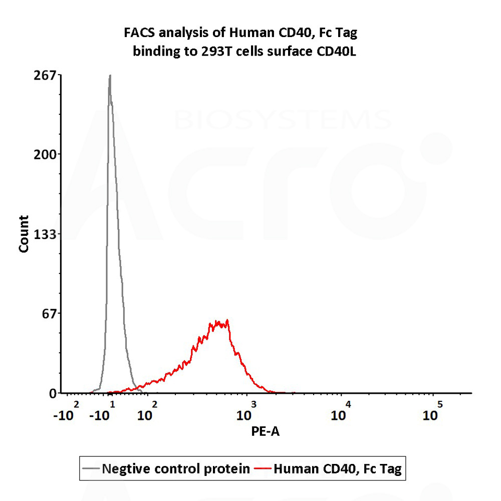  CD40 FACS