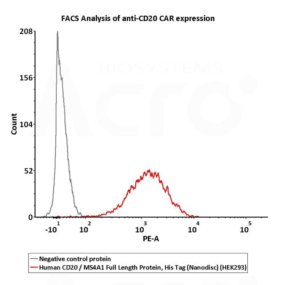  CD20 FACS