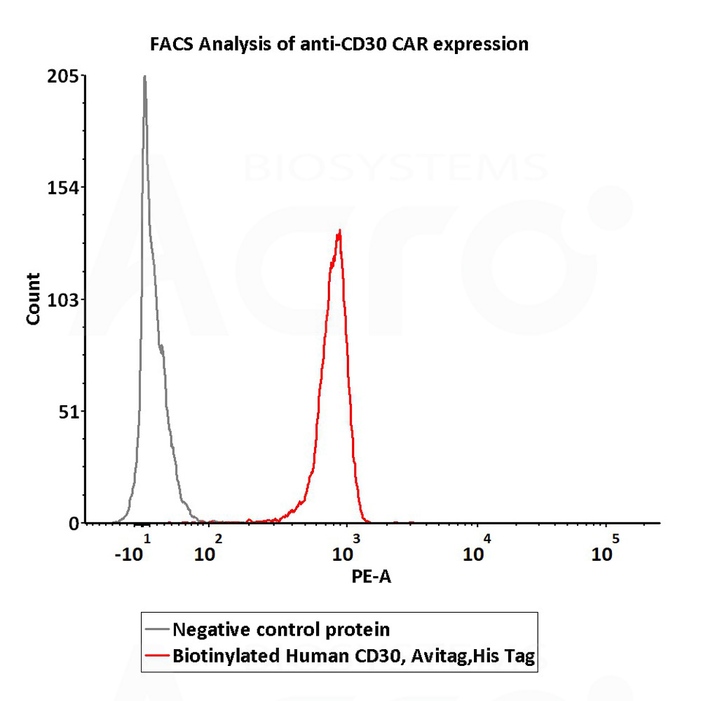  CD30 FACS