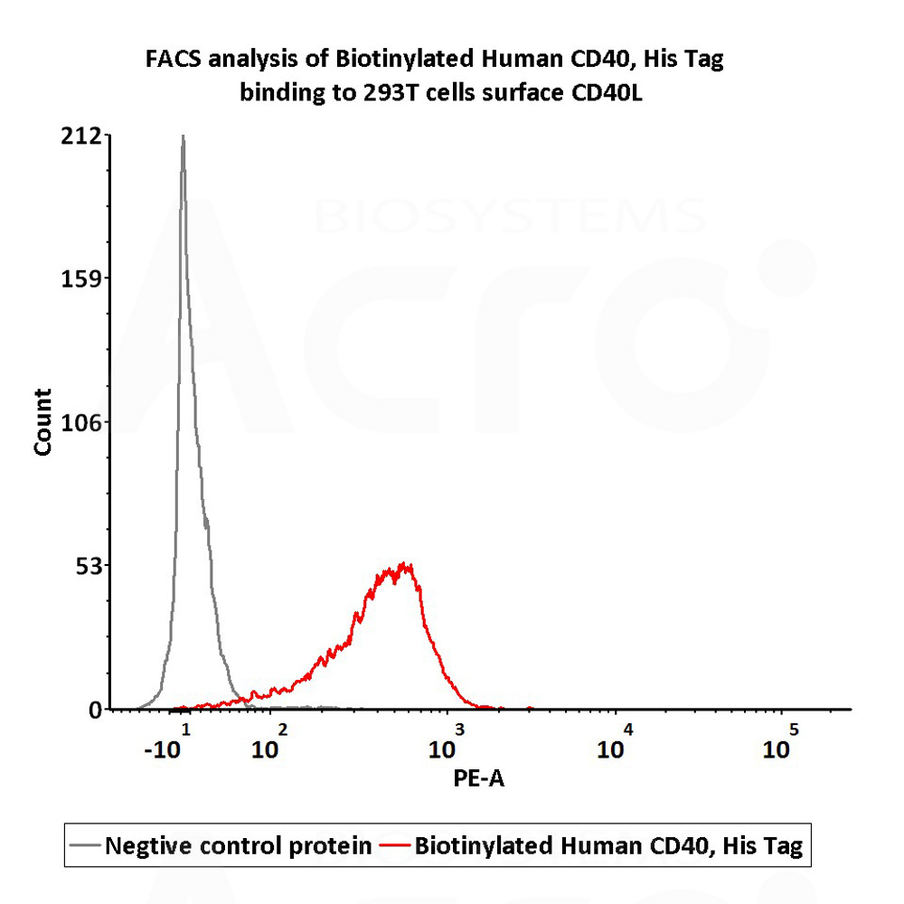  CD40 FACS