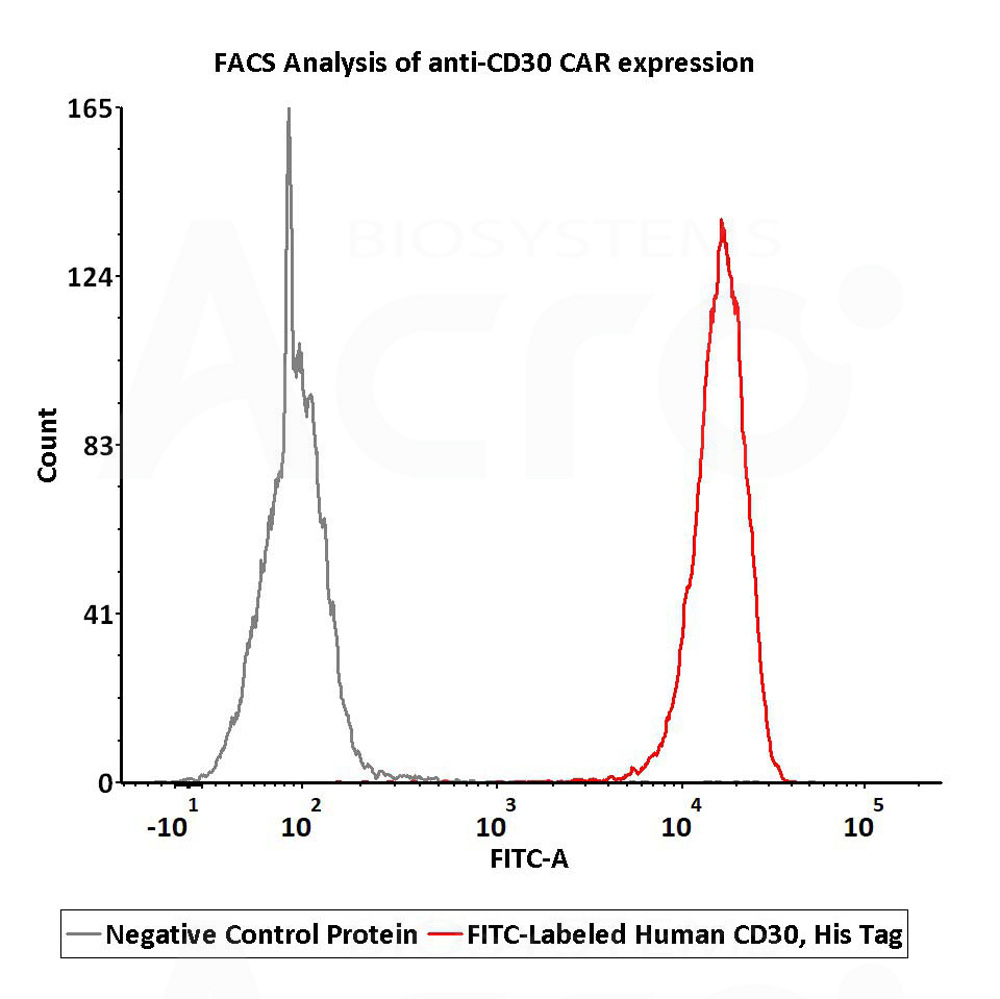  CD30 FACS