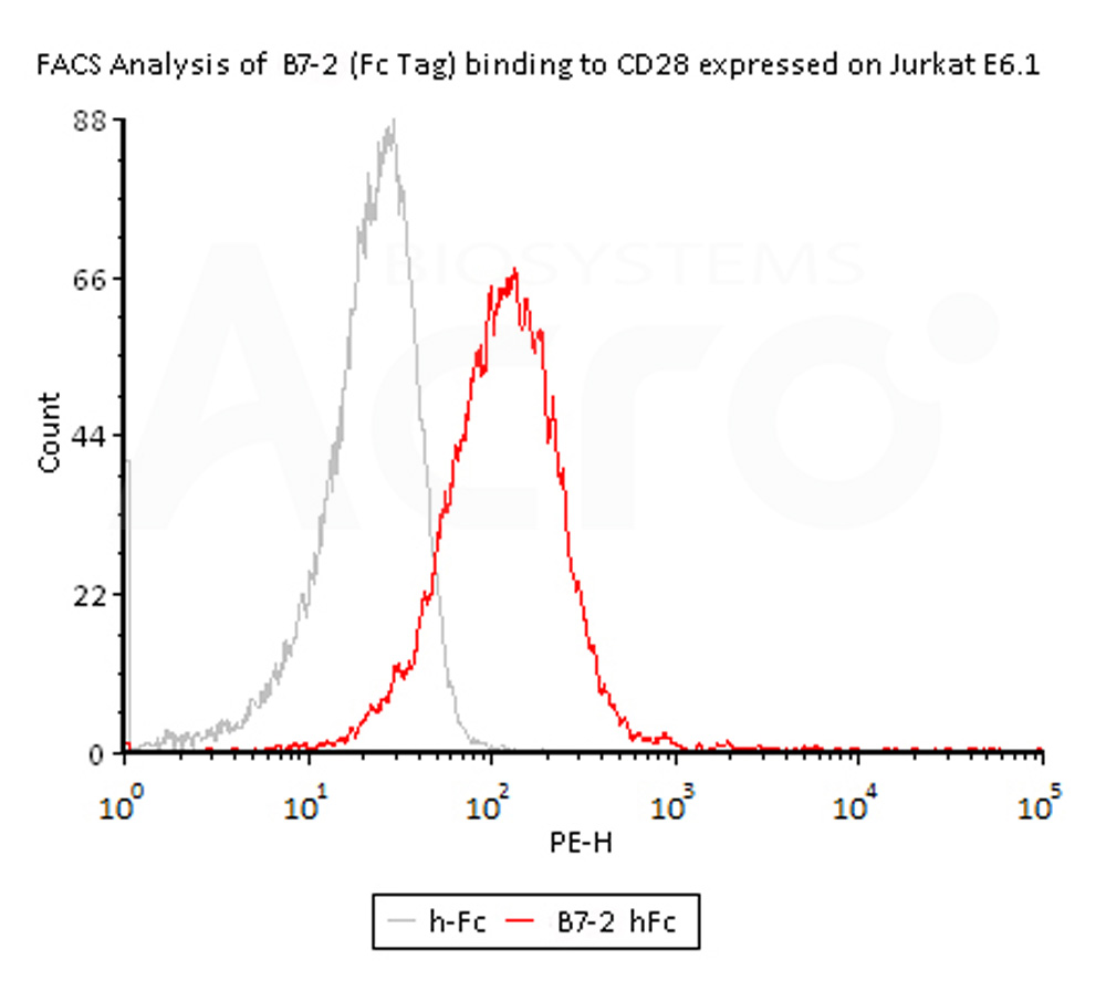  B7-2 FACS