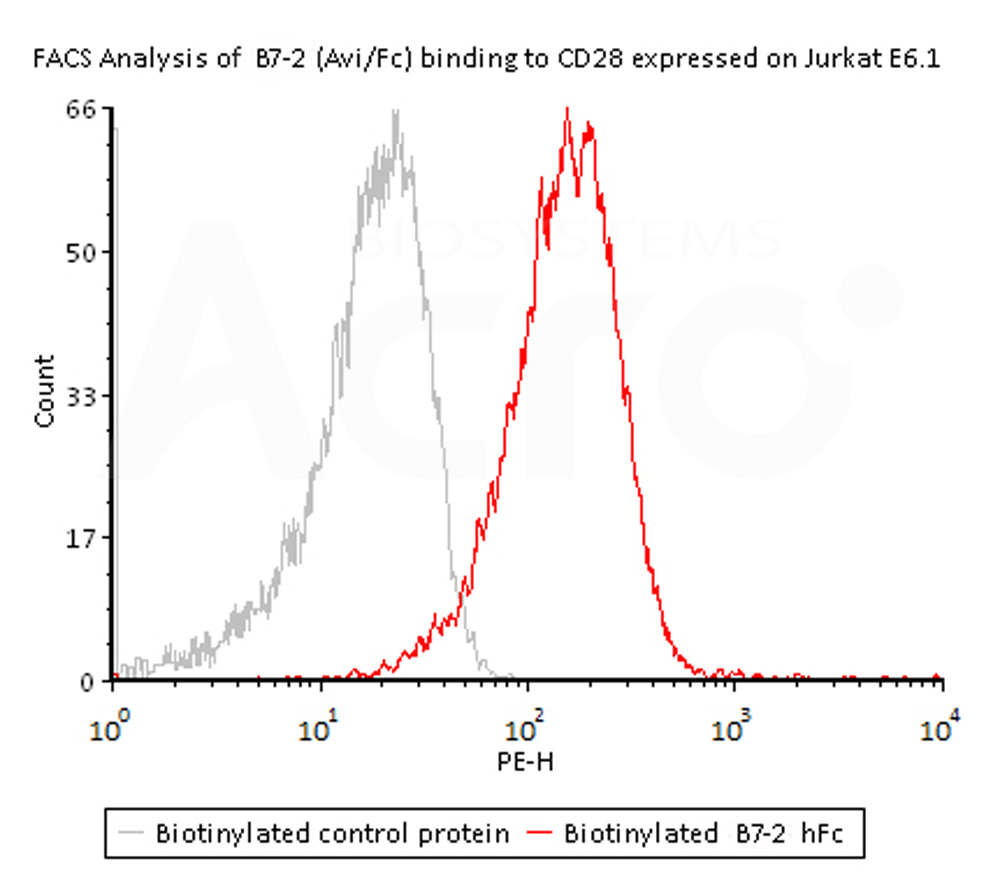  B7-2 FACS