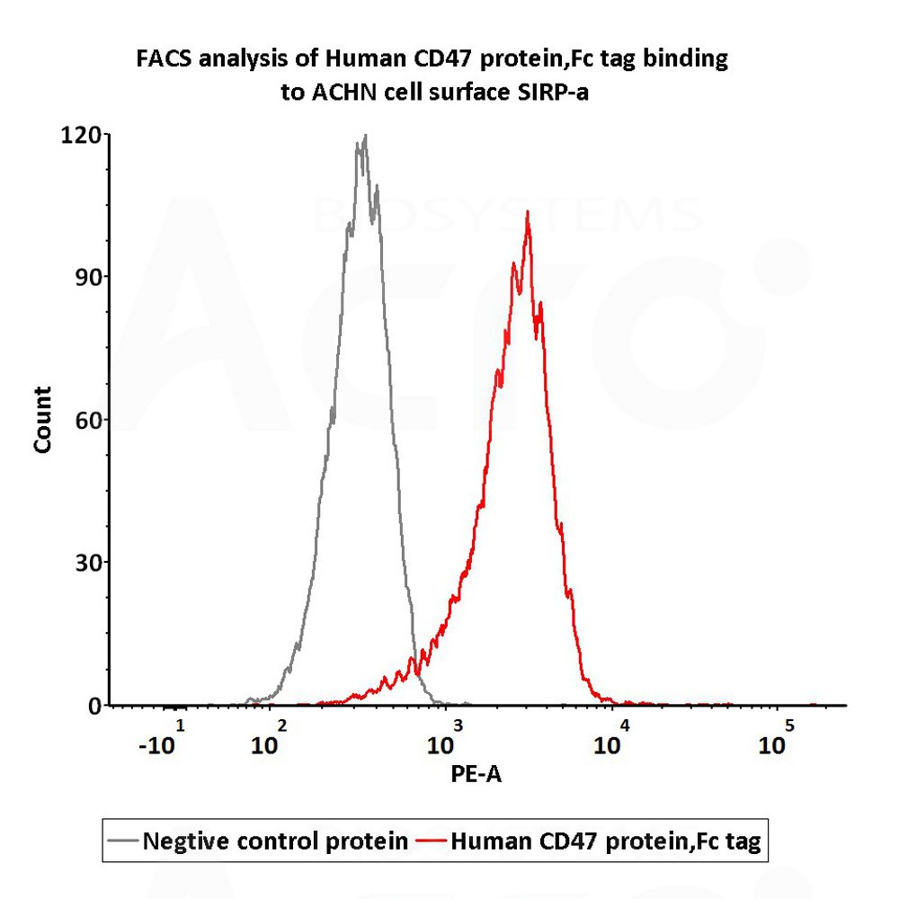  CD47 FACS