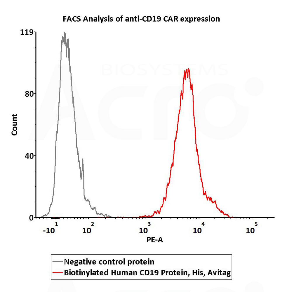  CD19 FACS