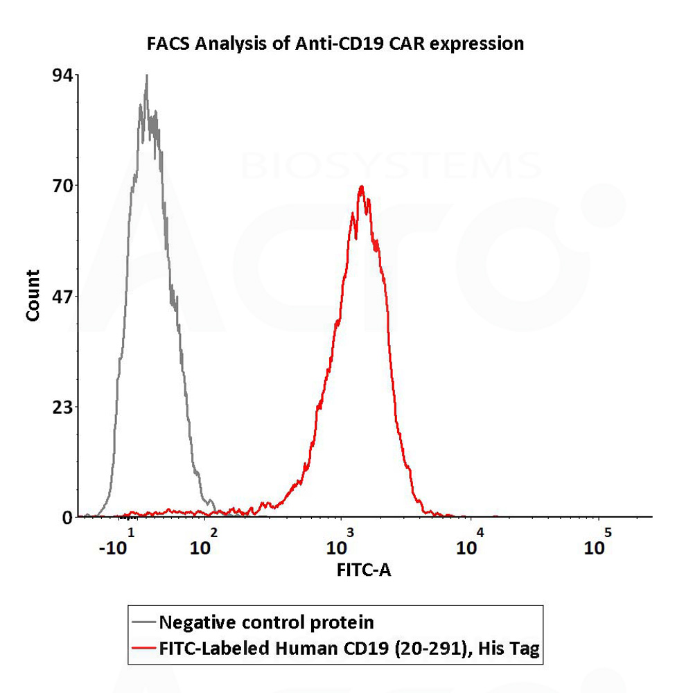  CD19 FACS