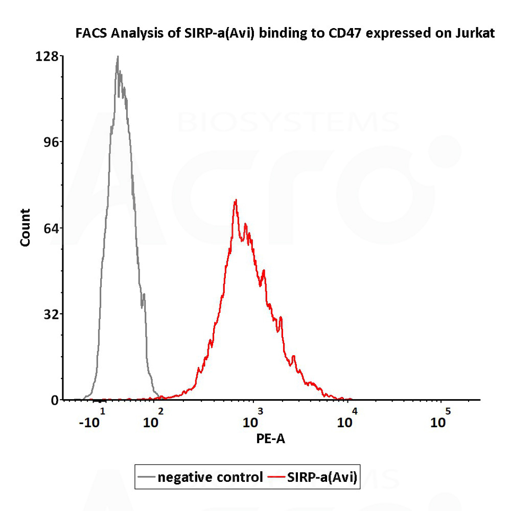  SIRP alpha FACS