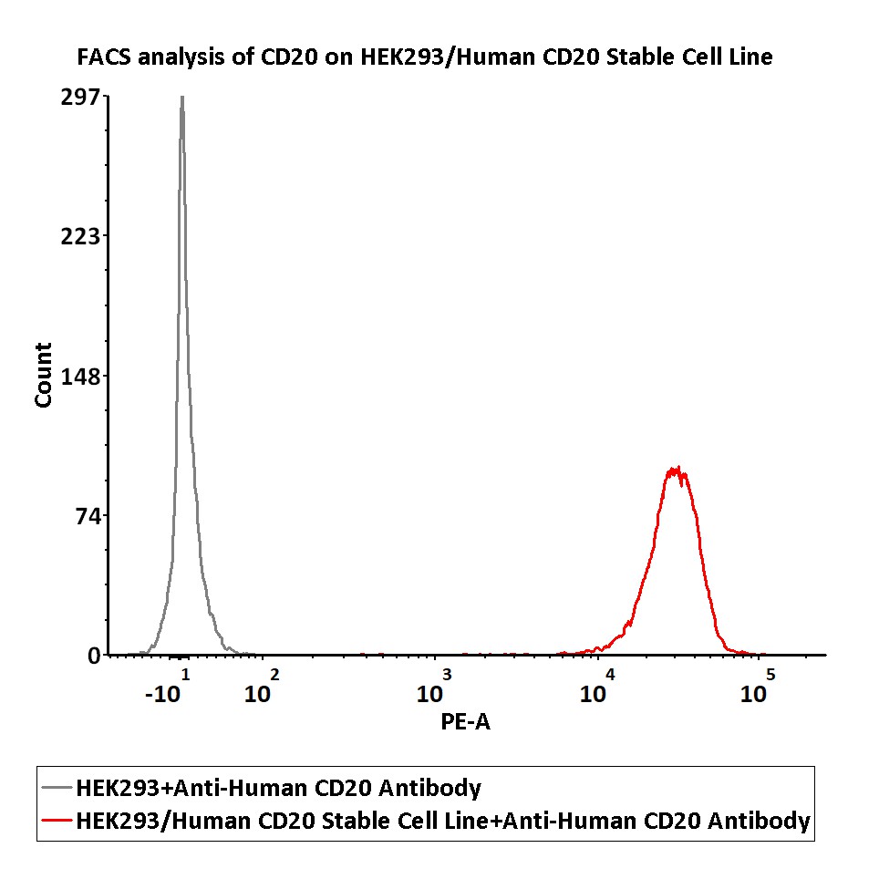  CD20 FACS