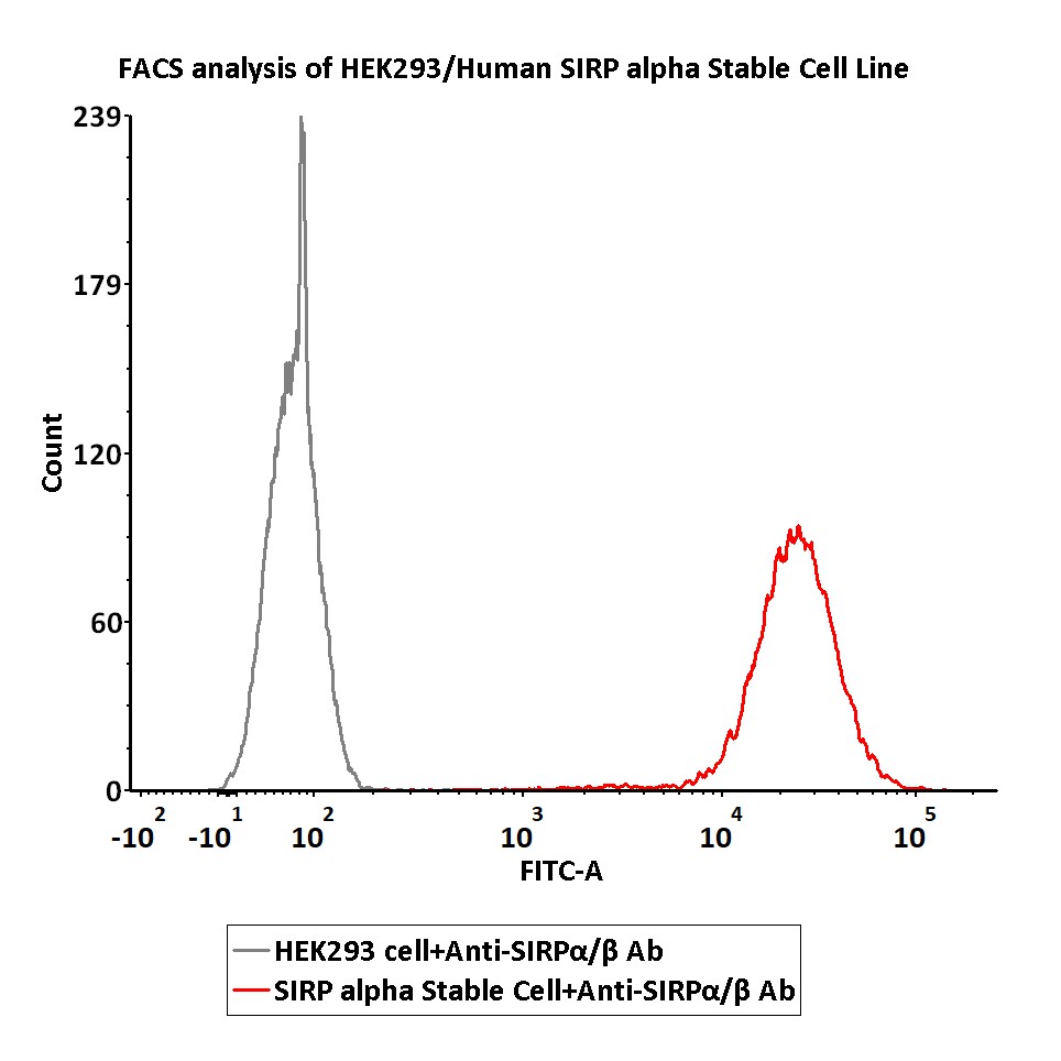  SIRP alpha FACS