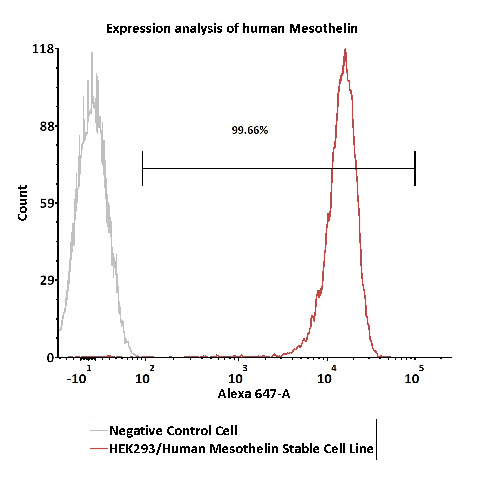  Mesothelin FACS