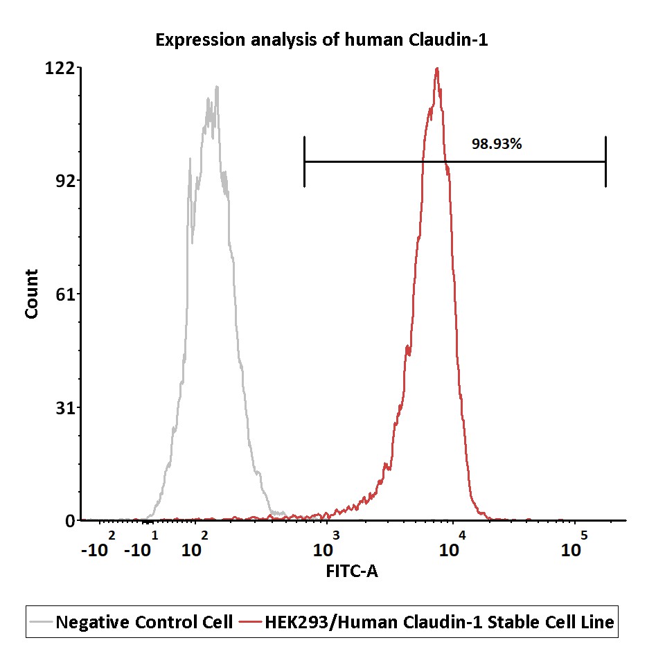  Claudin-1 FACS