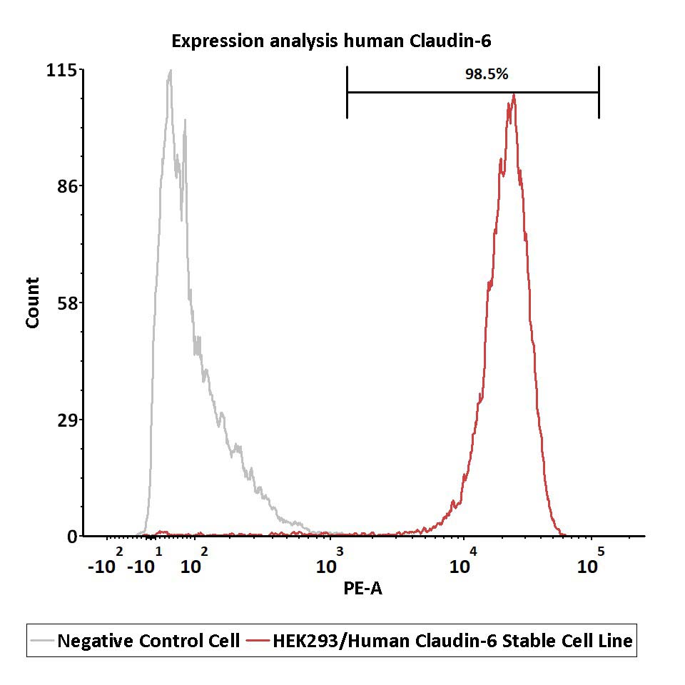  Claudin-6 FACS