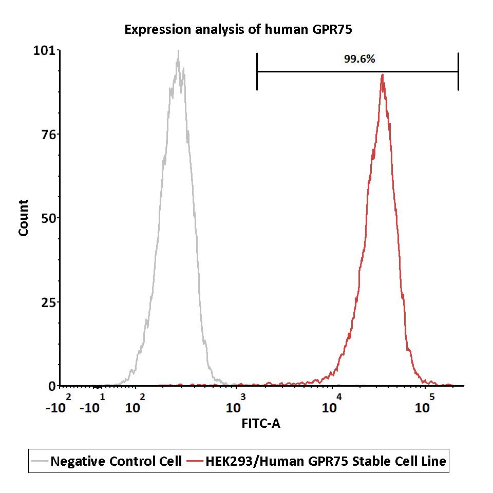  GPR75 FACS