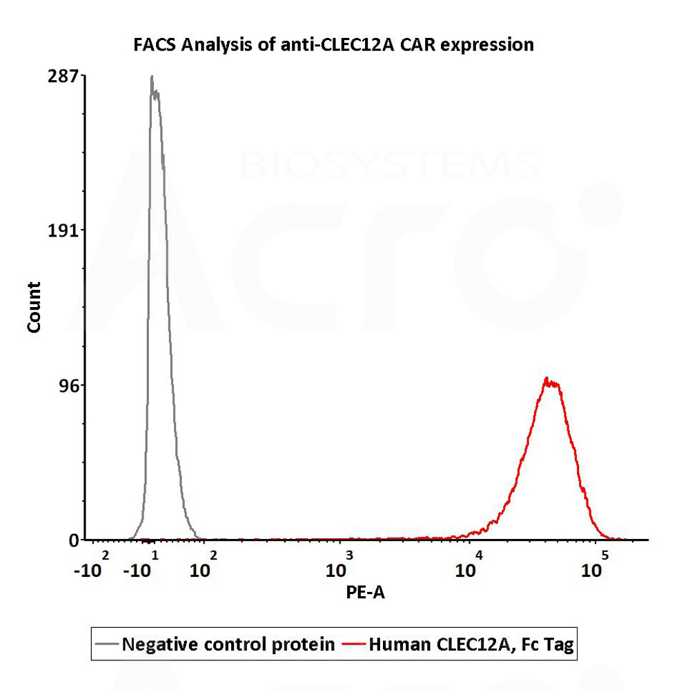  CLEC12A FACS