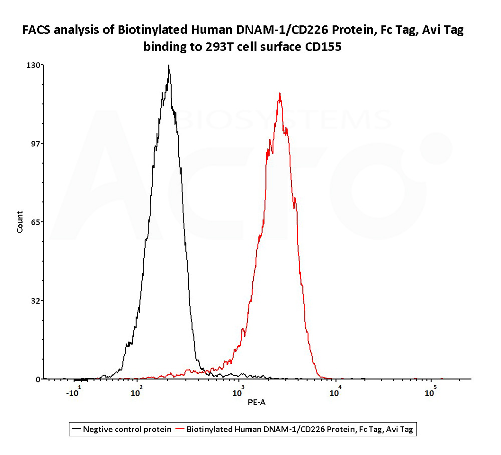 DNAM-1 FACS