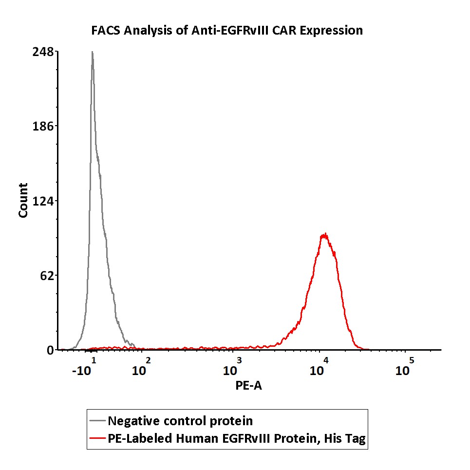  EGFRvIII FACS