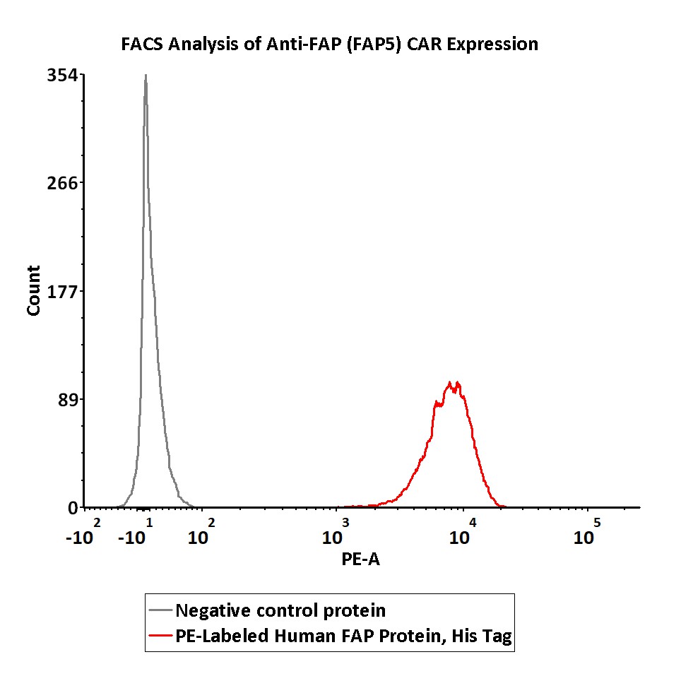 FACS assay shows that recombinant Biotinylated FACS