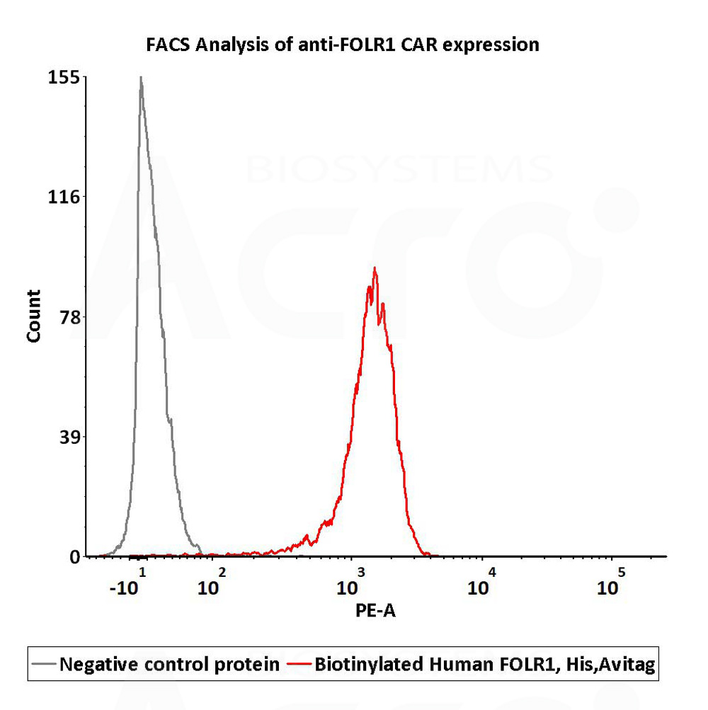  FOLR1 FACS