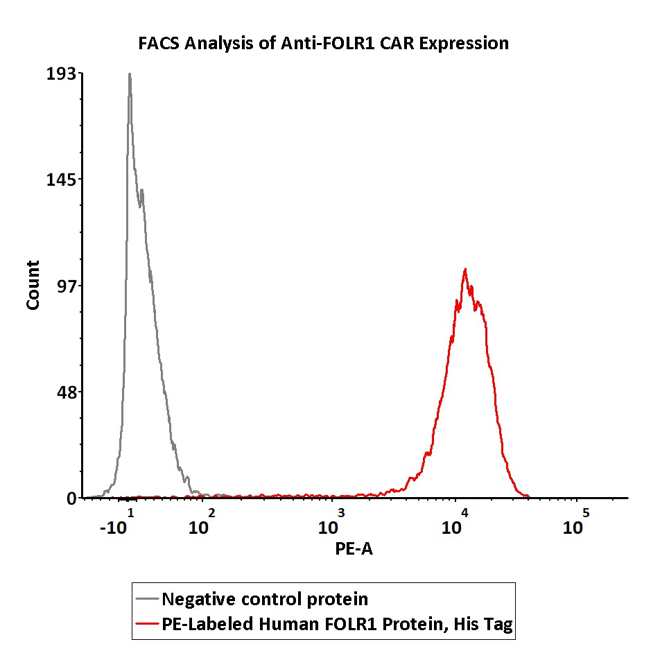  FOLR1 FACS