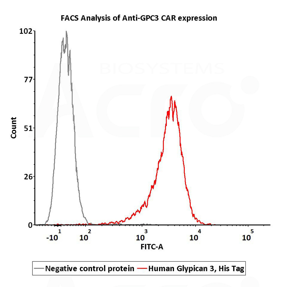  Glypican 3 FACS