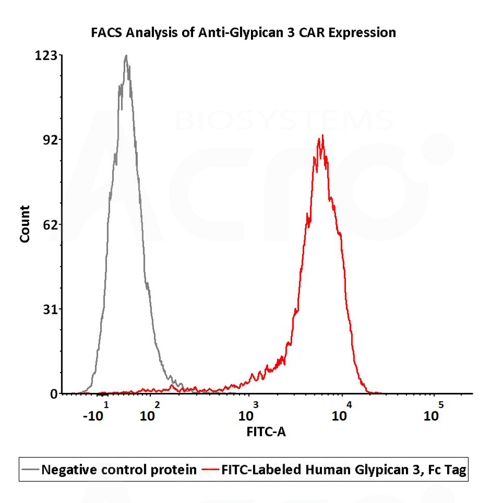  Glypican 3 FACS