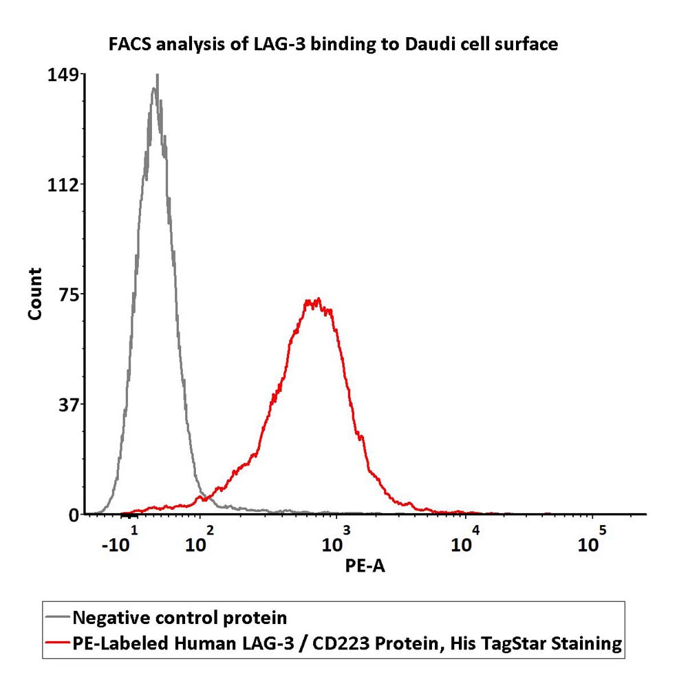  LAG-3 FACS