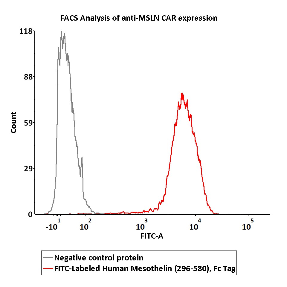  Mesothelin FACS