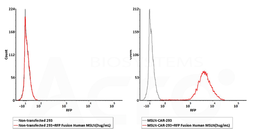  Mesothelin FACS