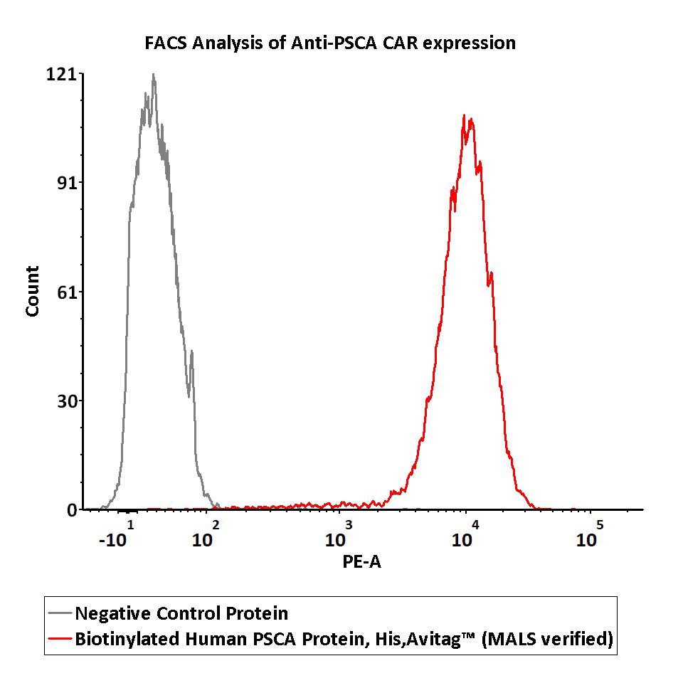  PSCA FACS