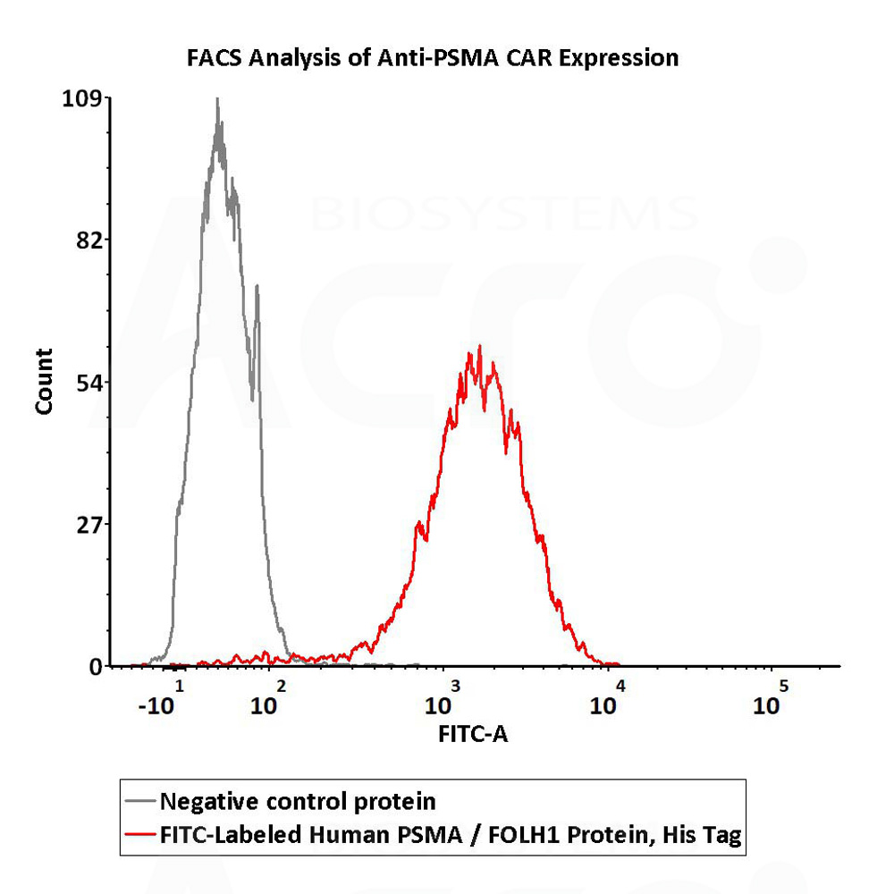  PSMA FACS