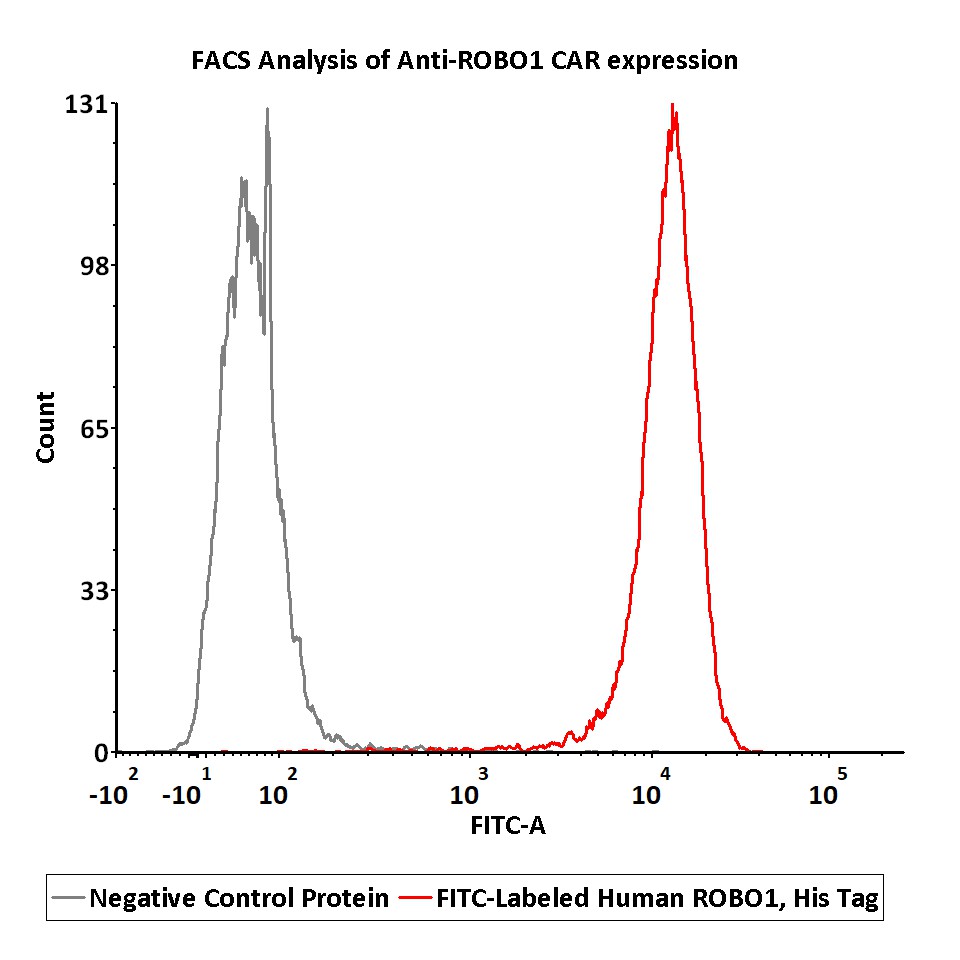  ROBO1 FACS
