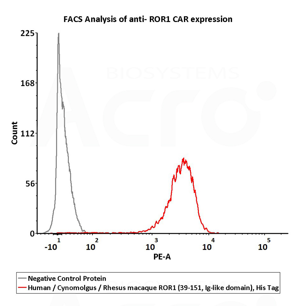  ROR1 FACS